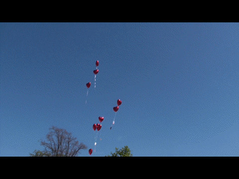 Herzluftballons-aus-Folie-vom-Ballonsupermarkt-steigen-mit-Ballonflugkarten-zur-Hochzeit-auf