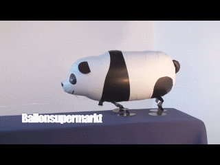Airwalker Luftballon Panda Bär mit Helium