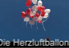 Herzluftballons vom Fachhandel sind immer die bessere Wahl Herzluftballons vom Fachhandel sind immer die bessere Wahl