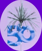 Geburtstag  Cascade Column 50 (GEBU CC 50)