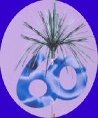 Geburtstag  Cascade Column 60 (GEBU CC 60)