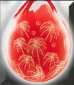 50 Stck. Feuerwerk (VerpB 08)