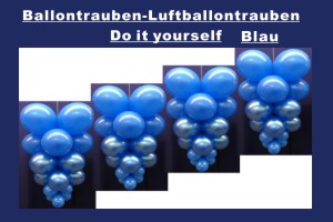 Ballontrauben Standard Blau - Ballontrauben Standard Blau