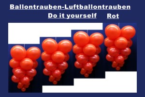 Ballontrauben Standard Rot - Ballontrauben Standard Rot