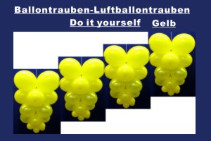 Ballontrauben Standard Gelb - Ballontrauben Standard Gelb