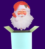 Weihnachtsgl&uuml;ckw&uuml;nsche (Mittlerer Karton) - Weihnachtsgl&uuml;ckw&uuml;nsche (Mittlerer Karton)