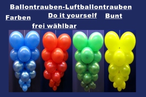 Ballontrauben Standard Bunt - Ballontrauben Standard Bunt