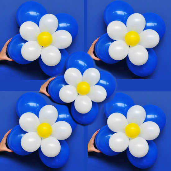 5 Blumen aus Luftballons, Blau, Weiß, Gelb