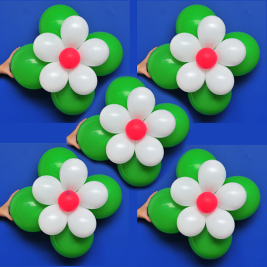 5 Blumen aus Luftballons, Grün, Weiß, Rot