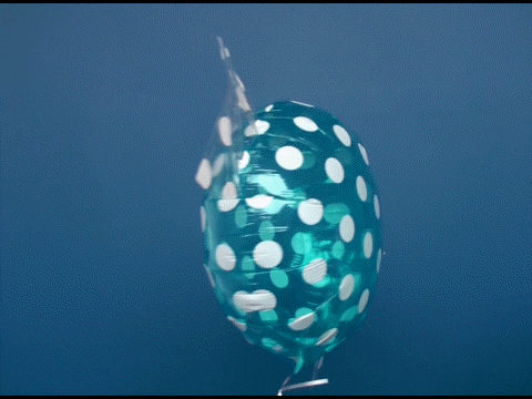 Candy-Luftballon-mit-Ballongas-Helium-Hellblau-Dots