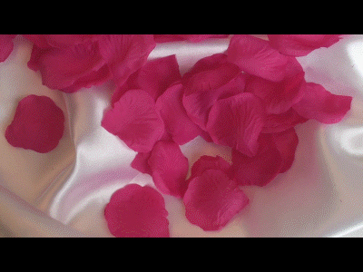 Rosenblätter in Pink