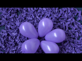 Wasserbomben Ballons Violett