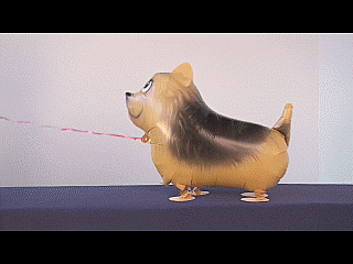 airwalker-terrier-luftballon-mit-helium