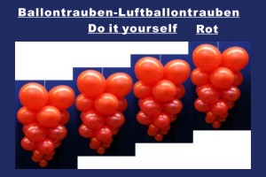 Ballontrauben Standard Rot