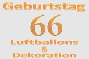 66. Geburtstag