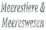 Meerestiere & Meereswesen