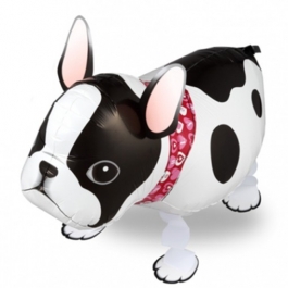 Bulldogge Airwalker Luftballon