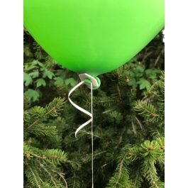 Umweltfreundliche Ballonverschlüsse, 100% biologisch abbaubar