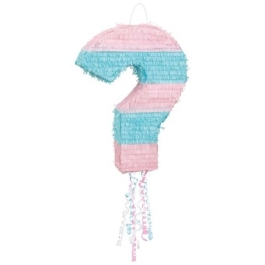 Gender Reveal Pinata