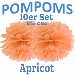 Pompoms Apricot, 25 cm, 10 Stück