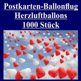 Postkarten, Ballonflugkarten Hochzeit Herzluftballons, 1000 Stück