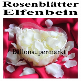 Rosenblätter Elfenbein