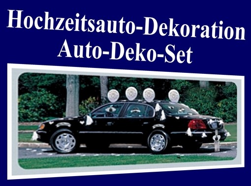 CarKit - Deko Autodekoration Hochzeit