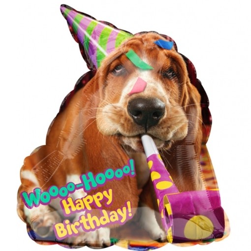 Geburtstagsbilder Tierisch Lustig Schon Meyluu