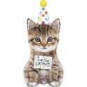 Katze Happy Birthday, Folienballon mit Helium zum Geburtstag