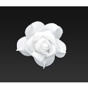 Dekoration Hochzeit, 9 Rosen, Weiß