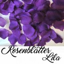 Rosenblätter Lila, 100 Stück