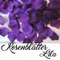 Rosenblätter Lila, 100 Stück