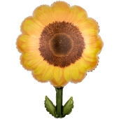 Sonnenblume, Luftballon ohne Helium