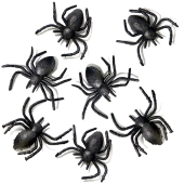 10 Spinnen Halloween. Partydekoration