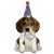 Happy Birthday Hund, Folienballon, Shape, ohne Helium zum Geburtstag