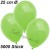 Luftballons 25 cm Ø, Apfelgrün, 5000 Stück