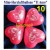 Herzluftballons, Mini-Herzballons Ti Amo, 10 Stück, Rot