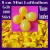 Luftballons Mini 8 cm, 1000 Stück, Wasserbomben, Gelb