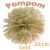 Pompom, Gold, 25 cm