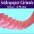 Seidenpapier-Girlande Rosa, 4 Meter, Baby Girl, Babyparty Dekoration