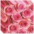 Tischdeko-Servietten mit Rosen in Rosa, 20 Stück