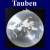 Tauben, Geschenkballons, Stuffer