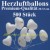 Herzluftballons Weiß 500 Stück / Heliumqualität / Premium