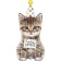Katze Luftballon zum Geburtstag mit Helium Ballongas