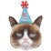 Grumpy Cat, Luftballon zum Geburtstag, ohne Helium