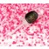 Push Pop Confetti in Pink und Rosa