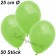 Luftballons 25 cm, Apfelgrün, 50 Stück