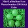 Mini Luftballons, 8 cm, 3", Wasserbomben, 100 Stück, Grün