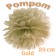 Pompom Gold, 25 cm