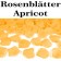 Rosenblaetter Apricot 100 Stueck